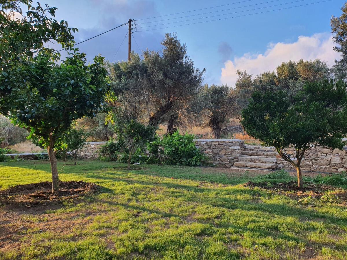 Pyrgos - Traditional House At Kaloxilos, Naxos Khalkíon المظهر الخارجي الصورة