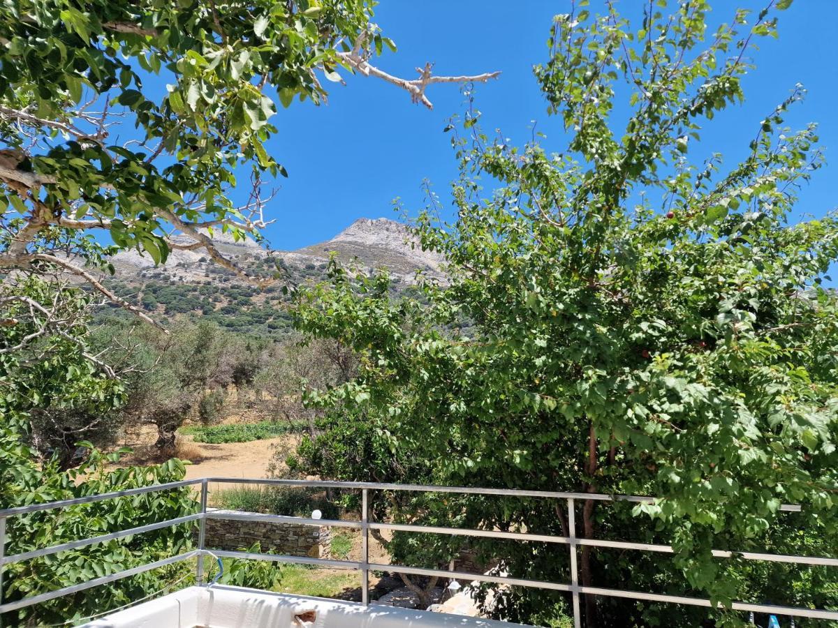 Pyrgos - Traditional House At Kaloxilos, Naxos Khalkíon المظهر الخارجي الصورة